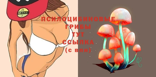 mix Богородицк